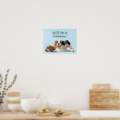 Cavalier King Charles Spaniel Welppies Poster (Küche)