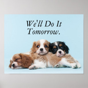 Cavalier King Charles Spaniel Welppies Poster