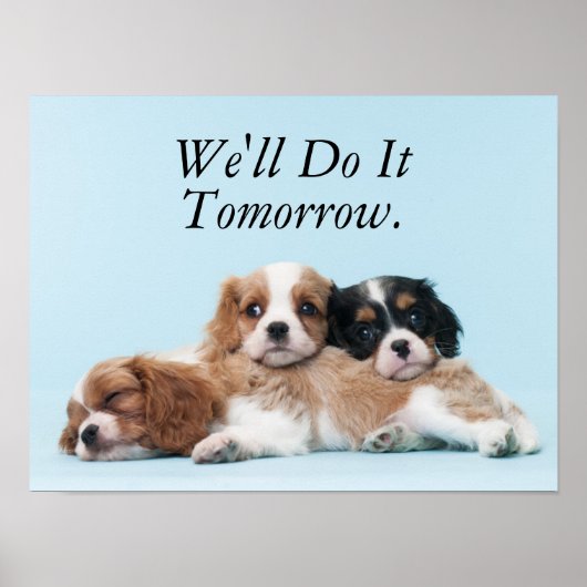 Cavalier King Charles Spaniel Welppies Poster (Vorne)