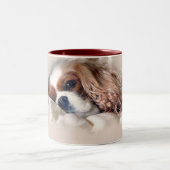 Cavalier King Charles Spaniel Zweifarbige Tasse (Mittel)