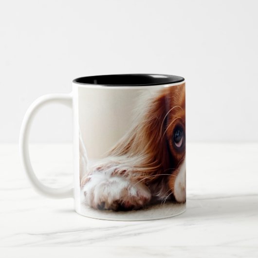 Cavalier King Charles Spaniel Zweifarbige Tasse (Links)