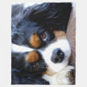 CAVALIER KING CHARLES SPANIELS FLEECEDECKE (Vorderseite)