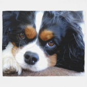CAVALIER KING CHARLES SPANIELS FLEECEDECKE (Vorderseite (Horizontal))