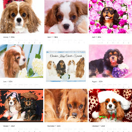 Cavalier King Charles Spaniels Kalender