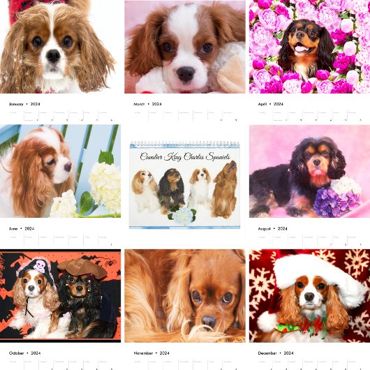 Cavalier King Charles Spaniels Kalender