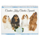 Cavalier King Charles Spaniels Kalender (Titelbild)