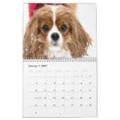 Cavalier King Charles Spaniels Kalender (Jan 2027)
