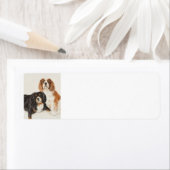 Cavalier King Charles Spaniels Malerei (Insitu)