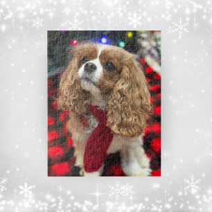 Cavalier King Charles Spaniels mit Winter Schal Puzzle