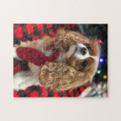 Cavalier King Charles Spaniels mit Winterskarf Puzzle (Horizontal)