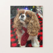 Cavalier King Charles Spaniels mit Winterskarf Puzzle (Vertikal)