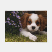 Cavalier King Charles Spanier Welpe hinter Blume Fußmatte (Vorderseite)