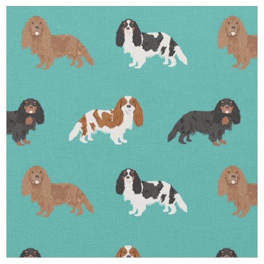 Cavalier King Charles Spanisch Türkis Stoff (Nahaufnahme)