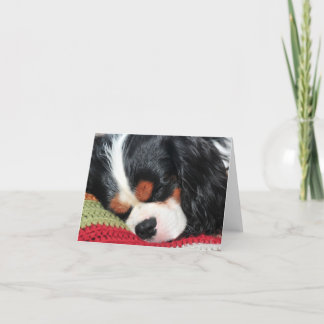 Cavalier King Charles Tri-Color Blank Note Card Karte