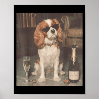 Cavalier King Charles trinkt Champagner Lustig Poster