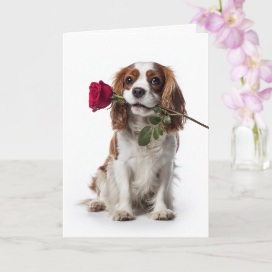 Cavalier King Charles Valentine – Zarte Liebe Karte (Orchidee)