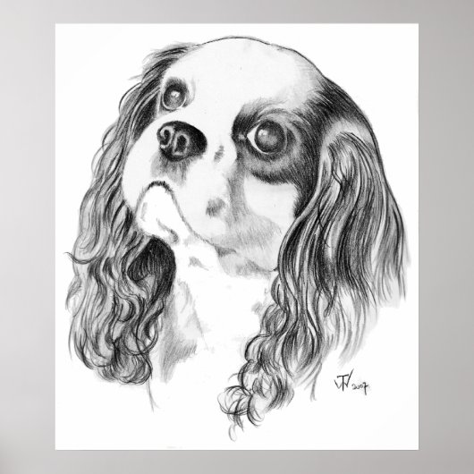 Cavalier King Charles Zeichnend Poster (Vorne)
