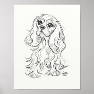 Cavalier king charts spaniel print  Skizze Poster