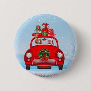 Cavalier King Dog in Auto mit dem Weihnachtsmann Button