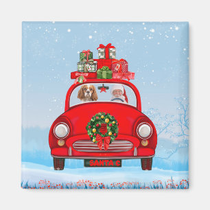 Cavalier King Dog in Auto mit dem Weihnachtsmann Magnet