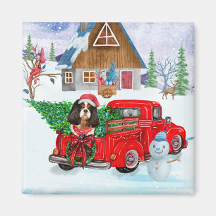 Cavalier King Dog in Christmas Delivery Truck Schn Magnet