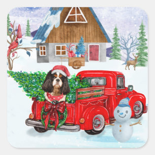 Cavalier King Dog in Christmas Delivery Truck Schn Quadratischer Aufkleber