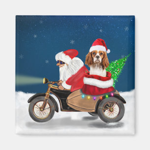 Cavalier King Dog Weihnachtsmann Magnet