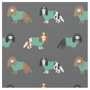 Cavalier König Charles Spaniel in der Holzkohle Stoff