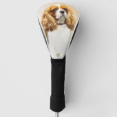 Cavalier König Charles Spaniel Original Malerei Golf Headcover (Vorderseite)