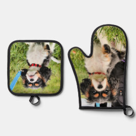 Cavalier Ofenhandschuh & Topflappen-Set