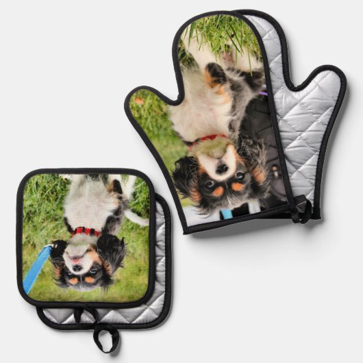Cavalier Ofenhandschuh & Topflappen-Set (Vorderseite/Rückseite)