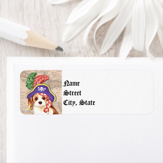 Cavalier Pirate (Insitu)