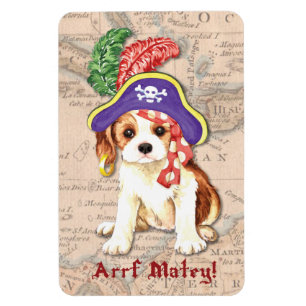 Cavalier Pirate Magnet