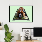 Cavalier Sooky Face Spaniel, Poster (Heimbüro)
