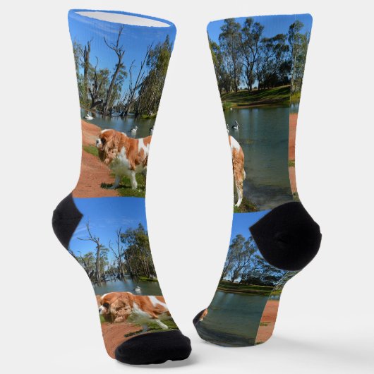Cavalier Spanel River Walk, Crew Socks Socken (Gewinkelt)