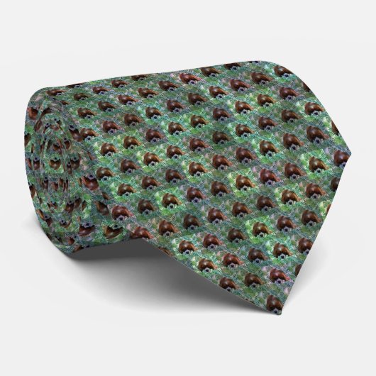 Cavalier Spaniel and Ferns Pattern, Krawatte (Gerollt)