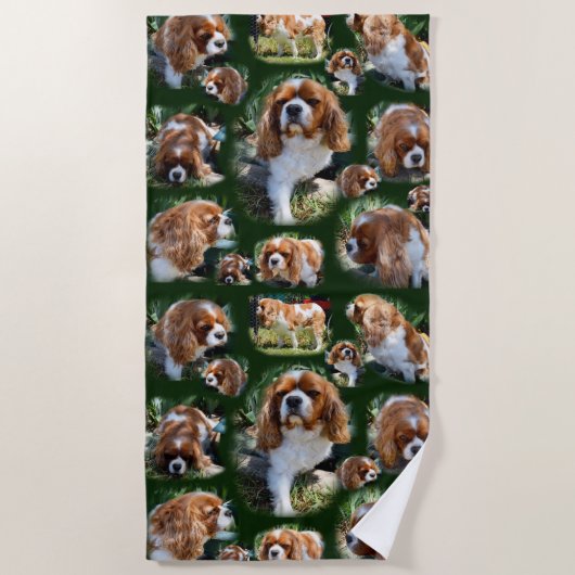 Cavalier Spaniel Collarge, Strandtuch (Vorderseite)
