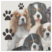 Cavalier Spaniel Fabric Stoff (Nahaufnahme)