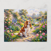 Cavalier Spaniel im Sommergarten am Teich