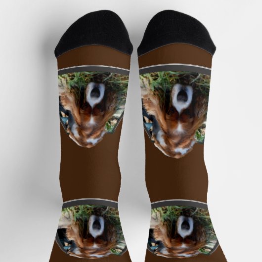Cavalier Spaniel Popout Art, Crew Socks Socken (Oben)