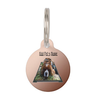Cavalier Spaniel Popout Art, Haustiermarke