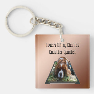 Cavalier Spaniel Popout Art, Keyring Schlüsselanhänger
