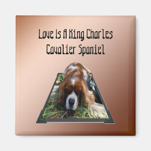 Cavalier Spaniel Popout Art, Kühlschrankmagnet