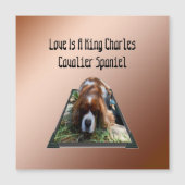Cavalier Spaniel Popout Art, Magnetkarte (Vorderseite)