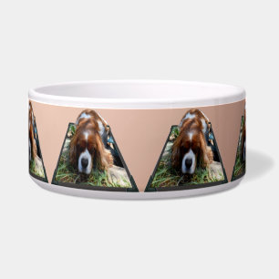 Cavalier Spaniel Popout Art, Napf