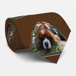 Cavalier Spaniel Popout Art, Neck Tie Krawatte