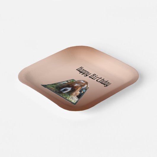 Cavalier Spaniel Popout Art, Pappteller (Gewinkelt)