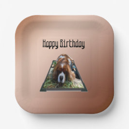 Cavalier Spaniel Popout Art,  Pappteller