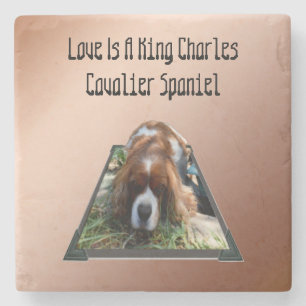 Cavalier Spaniel Popout Art, Stone Untersetzer