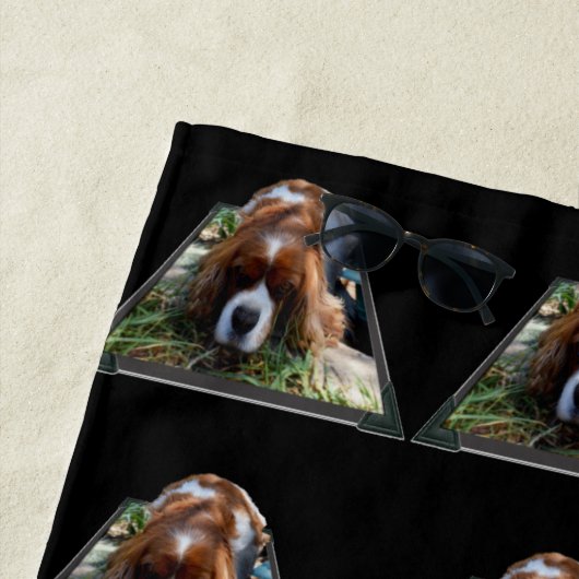 Cavalier Spaniel Popout, Strandtuch (Beispiel)